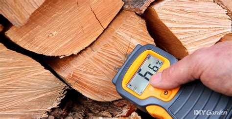 best wood moisture meter review